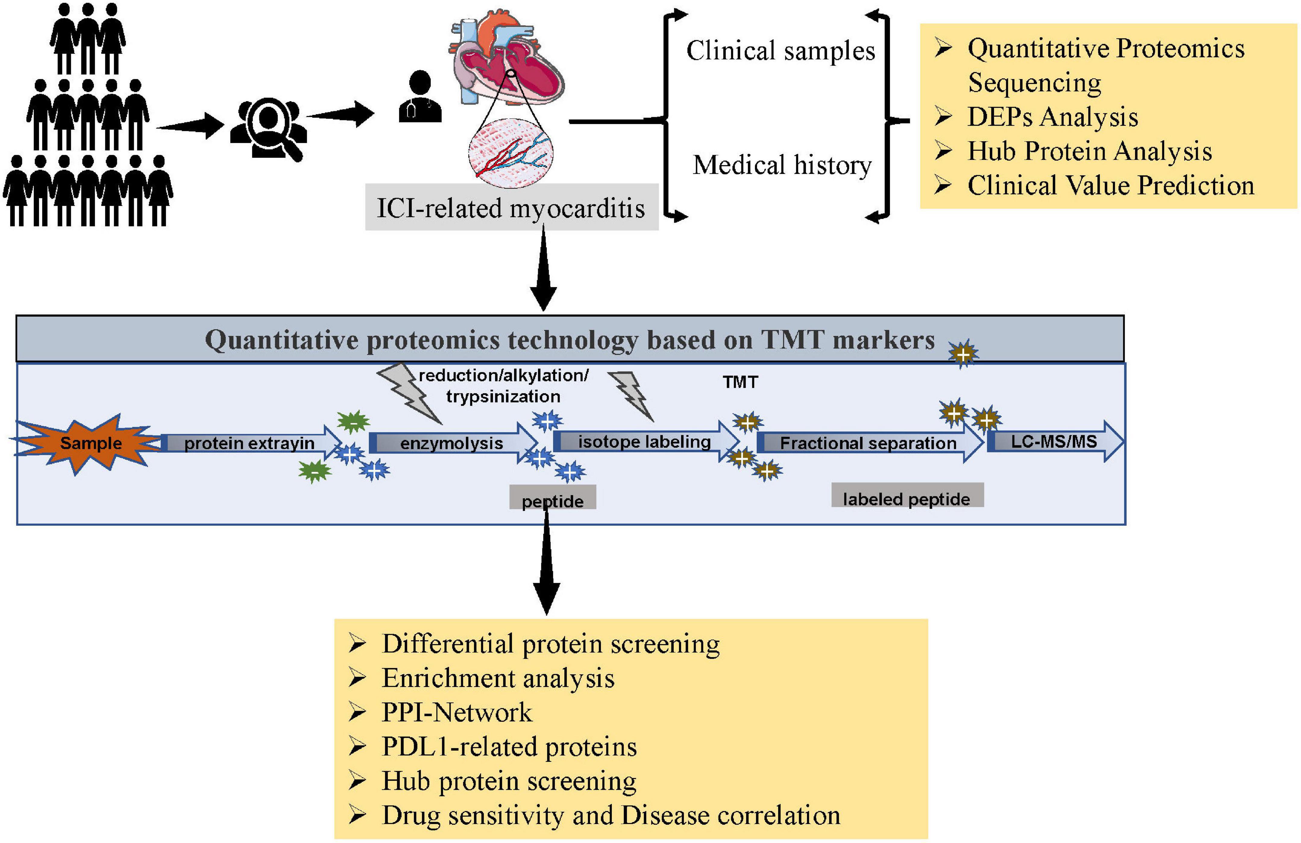 Role of mitochondrial metabolism in immune checkpoint inhibitors-related myocarditis
